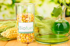 Barbon biofuel availability