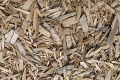biomass boilers Barbon